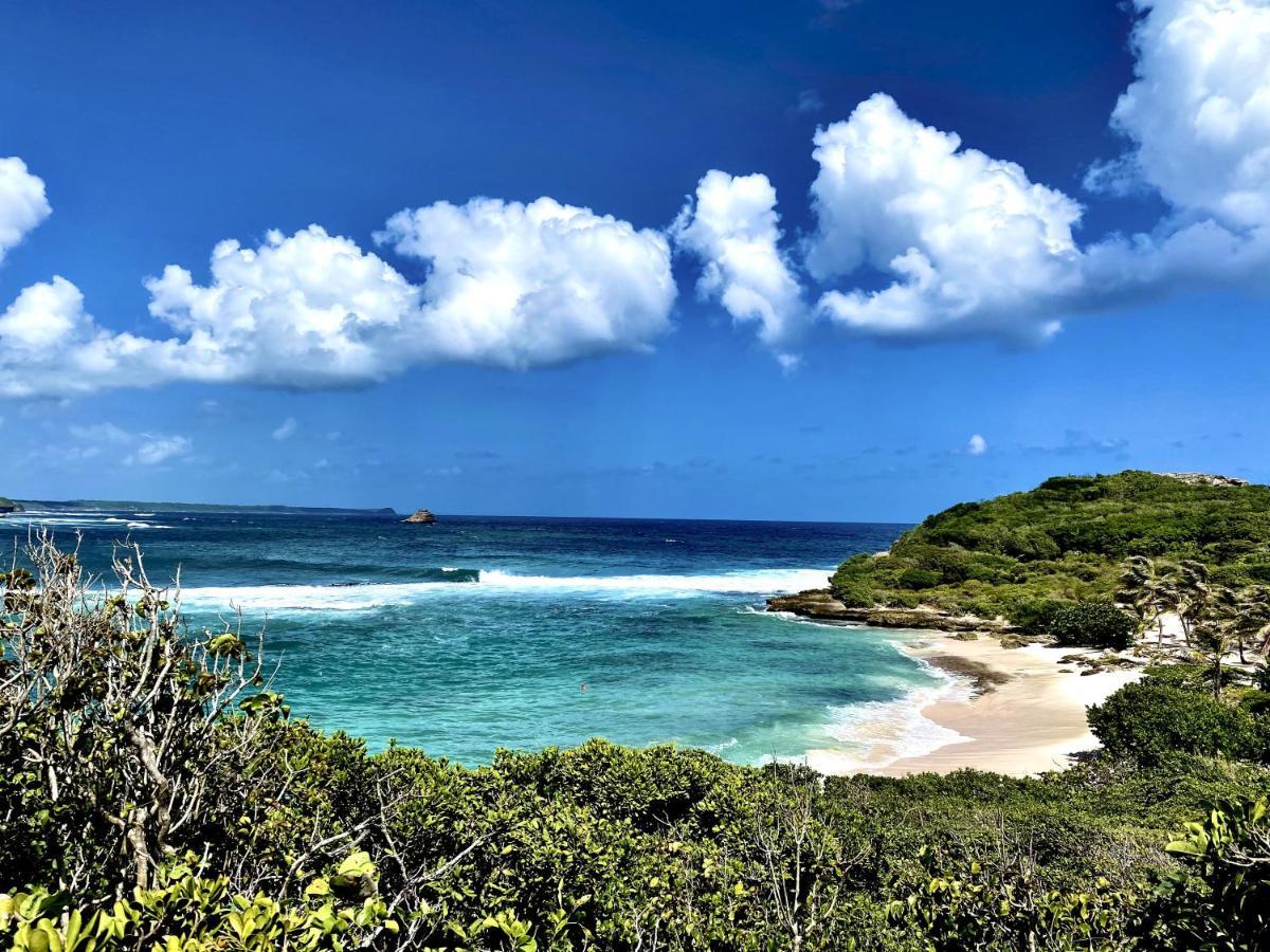 סנט-אן Le Paradis Zen 1Er Etage Et Rdc Vue Plage Et Mer Ste Anne מראה חיצוני תמונה